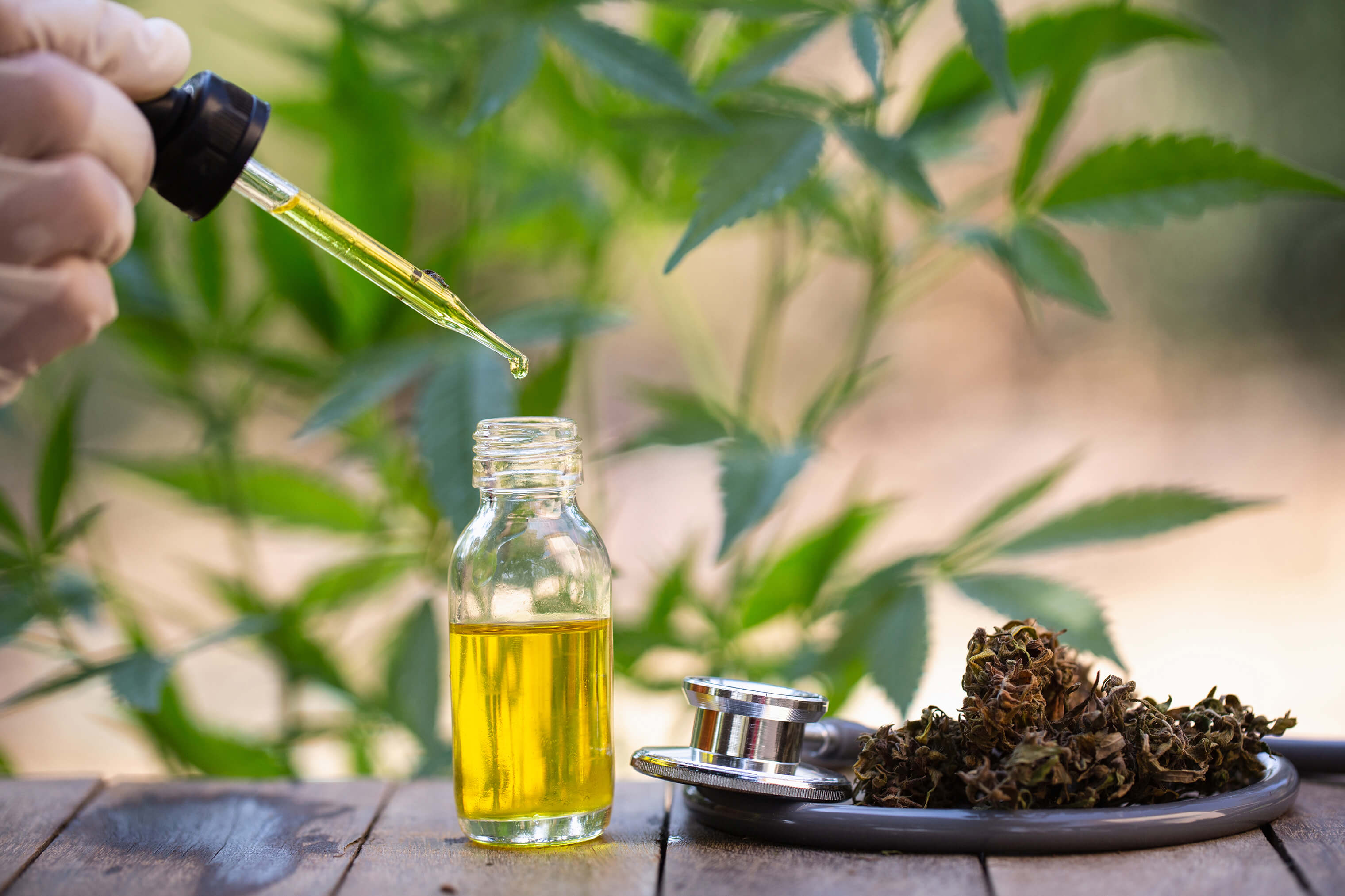 How To Buy The Best CBD Products and What To Look For In A CBD Company