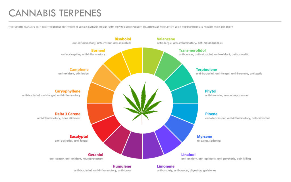 Terpenes and Their Applications